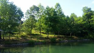 Lot 470 East View CIR