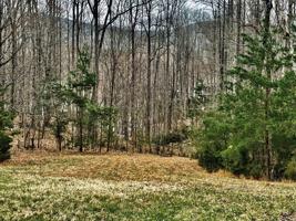 Lot 487 SOUTH VIEW CIR