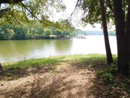 Lot 88 Clear Sail CT