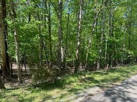 Lot 66 Ridgeway CT