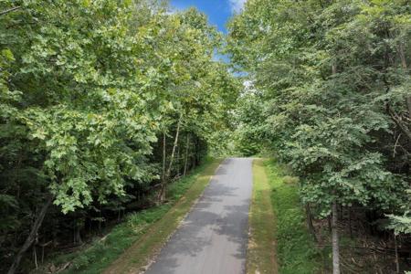 Lot 12 Sauls CIR
