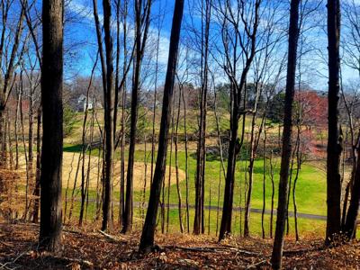 Lot #67 Peaks View DR