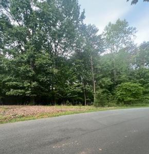 Lot 63 Gap Bridge RD
