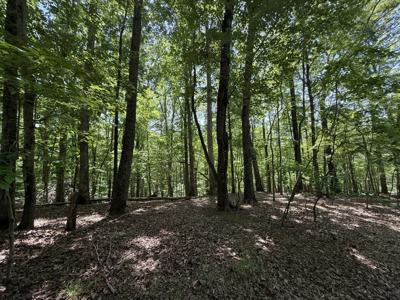 Lot 53 Hickory Woods LN