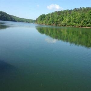 Lot #100 Jacobs Hollow
