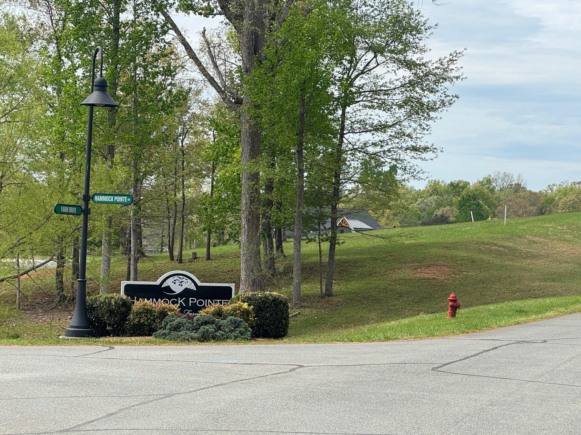 Image 2: Intersection across the street
