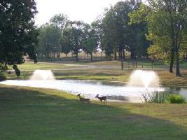 LOT 42 PEACH TREE CT