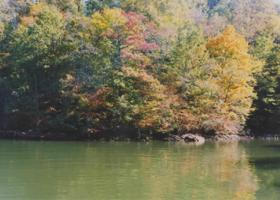 Lot #15 & 16 WOODLAKE DR