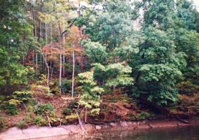 Lot #39 Plainfield CT