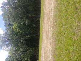Lot 20 Farm DR