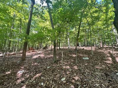 Lot #50 Poplar DR