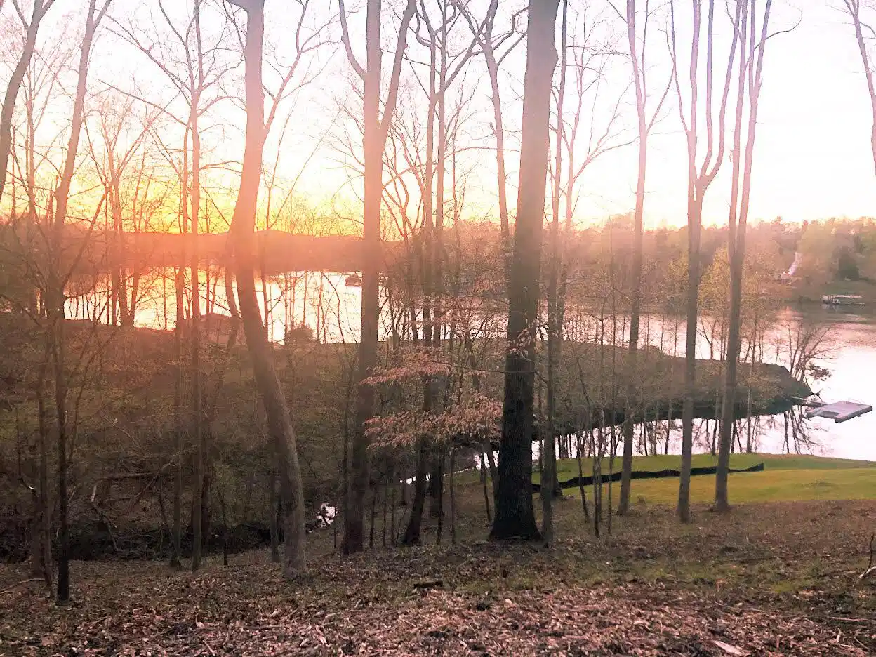 Image 1: Lakemount