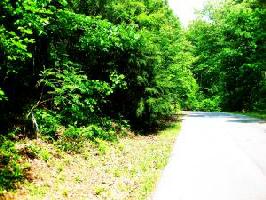 Lot 58 Gap Bridge RD