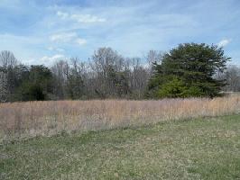 Lot 115 High Point RD