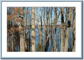 LOT 310 UPLAND SHORES DR