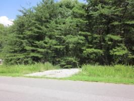 Lot 12 SURBER DR