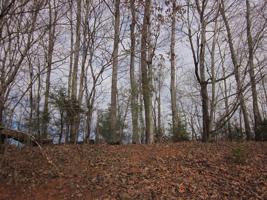 Lot 1 HARDY RD
