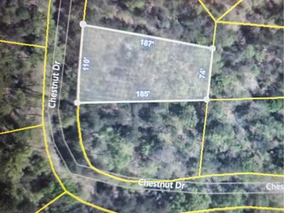 Lot 45 Chestnut DR