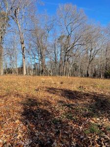 Lot 49 Lake View Pt