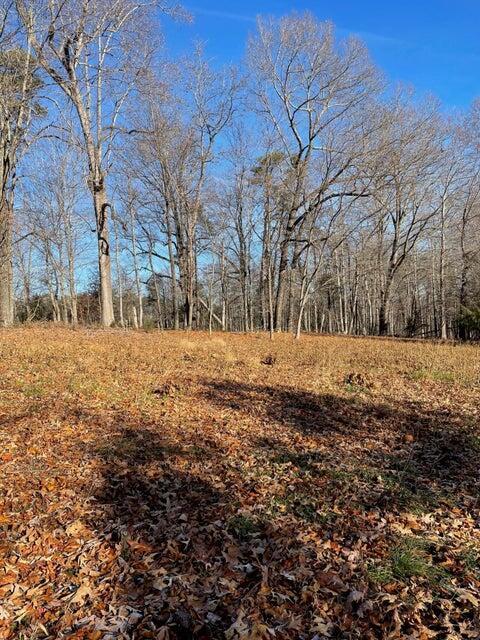 Image 1: Lot 49 Lake View Pt
