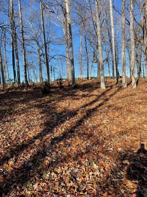 Image 2: Lot 49 Lake View Pt