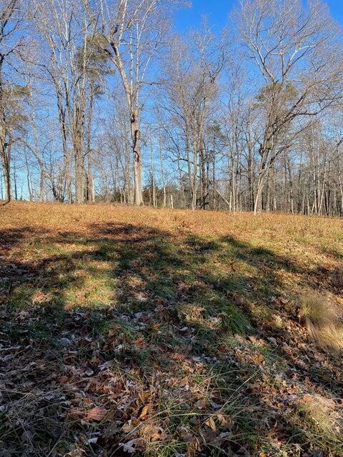 Image 3: Lot 49 Lake View Pt