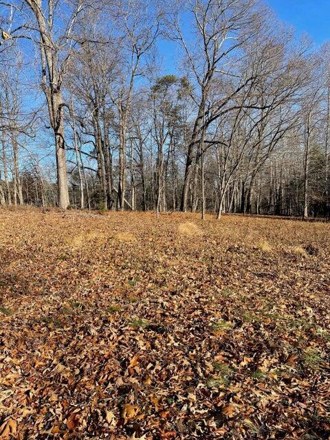Image 4: Lot 49 Lake View Pt