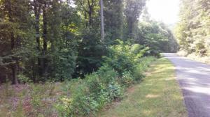 Lot 65 GAP BRIDGE RD