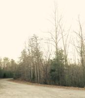 Lot 1 Crown Point DR