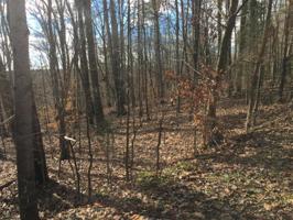 Lot 51 Stripers LN