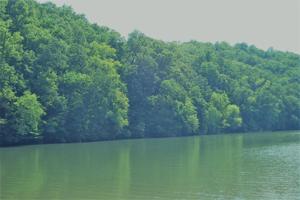 Lot 80 Lakeshore Terrace RD