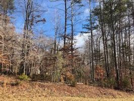 Lot 8 Hidden Valley TRL