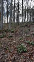 Lot 5 Falcon Ridge DR