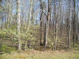 Lot 5 Little Creek RD