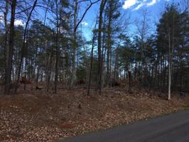 Lot 58 Gap Bridge RD