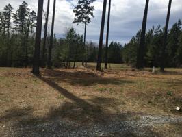 Lot 173 Hidden Cove LN