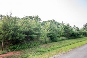 Lot 11 Summerfield RD