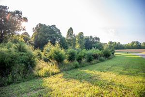 Lot 12 Summerfield RD