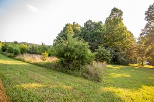 Lot 13 Summerfield RD
