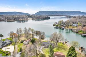 313 Spring DR