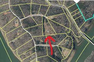 105 Red Birch DR