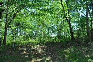 Lot 64 Sailboat LN