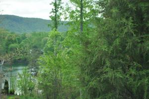 Lot 468 East View CIR