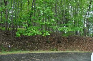 Lot 268 Niblicks CIR