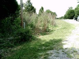 LOT 27 RED FOX LN