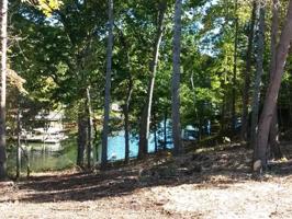 0 Three Point Isle DR Lot #11