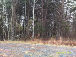 Lot 62 MOUNTAIN VISTA CIR