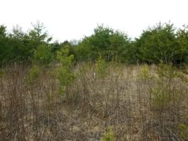 Lot 11 Montevista RD