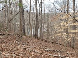 Lot 16 Woodridge TRL