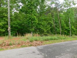 Lot 63 Gap Bridge RD